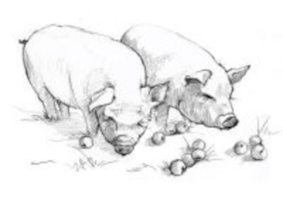 Big Table Farm Willamette Pinot Noir 2022