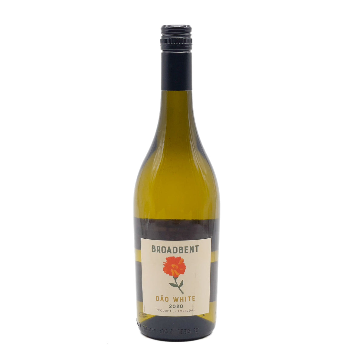 Broadbent Dao White 2022