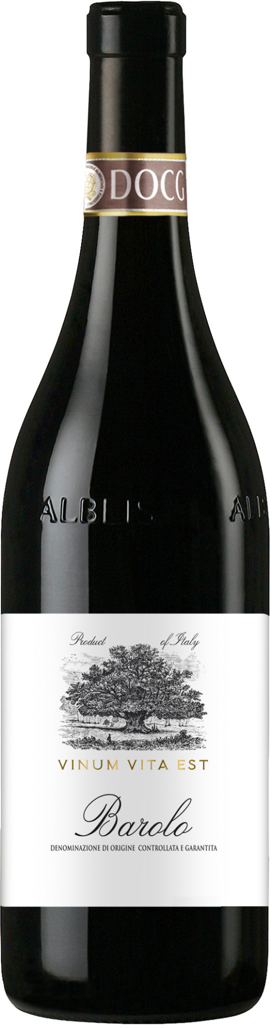 Ca' Gialla Barolo 2017