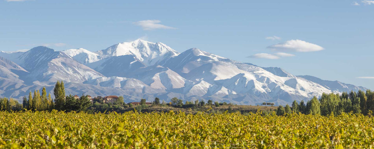 Catena Alta Malbec 2021