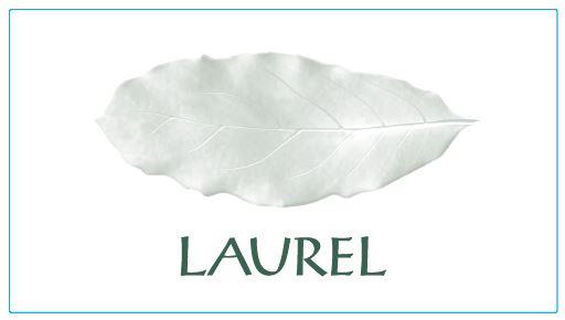 Clos i Terrasses Laurel Priorat 2021