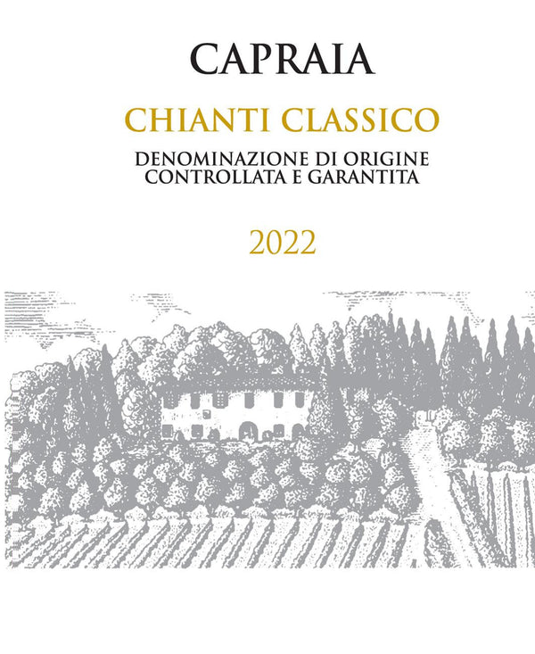 Degani Valpolicella Classico 2022