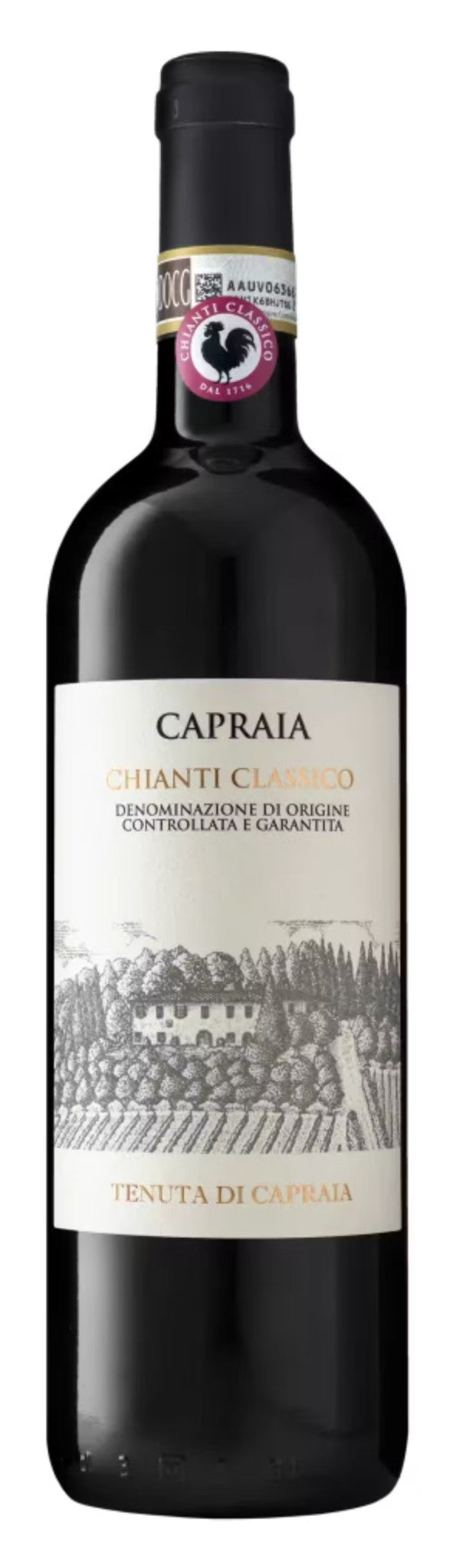 Degani Valpolicella Classico 2022