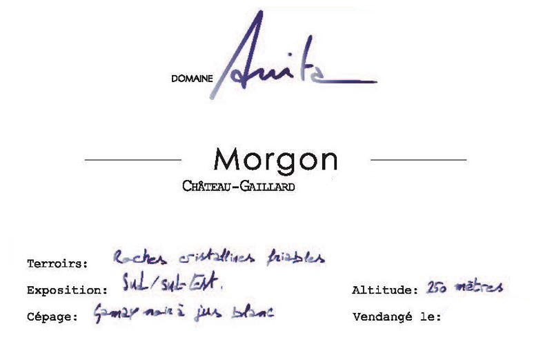 Domaine Anita Morgon Prestige 2020