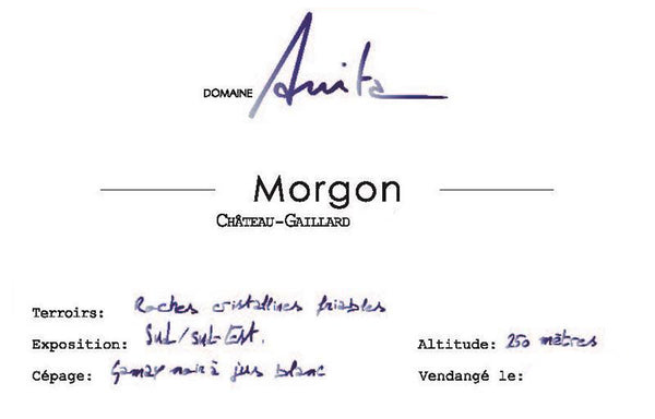Domaine Anita Morgon Prestige 2020