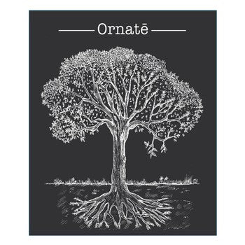 Jerome Bretaudeau Domaine de Bellevue Ornate 2021