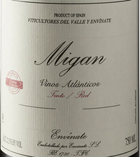 Envinate Canary Islands Tinto Migan 2021