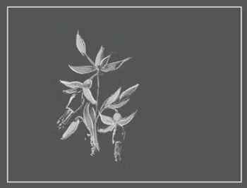 Arnot-Roberts Trousseau 2022