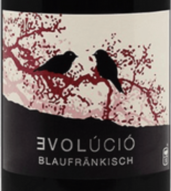 Evolucio Blaufrankisch 2020