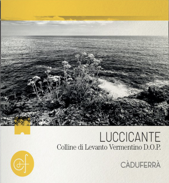 Ca du Ferra Luccicante Vermentino Bianco 2022