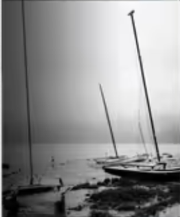 Brook & Bull Reserve Malbec 2023