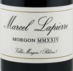Domaine Lapierre Morgon Cuvee Marcel 2024