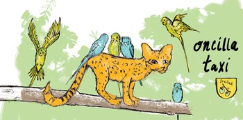 Off Color Brewing Oncilla Taxi 250mL