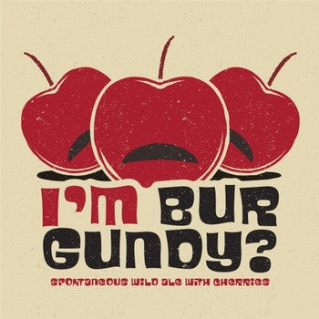 Level Beer I'm Burgundy? 500mL Bottle