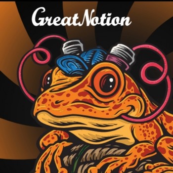 Great Notion POG Frog 16oz Can