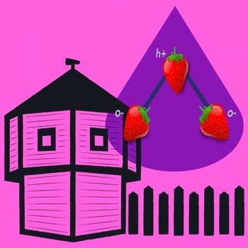 Fortside Strawberry Tart 16oz Can