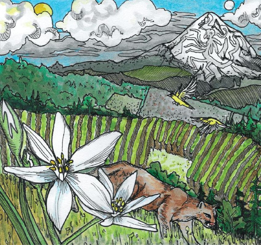 Kelley Fox Mirabai Pinot Noir 2023