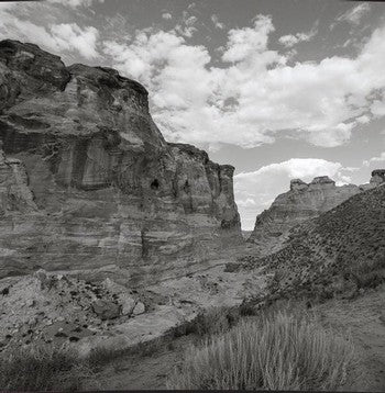 Brook & Bull Petit Verdot 2022