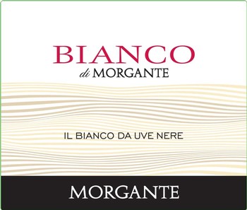 Morgante Bianco di Morgante 2024