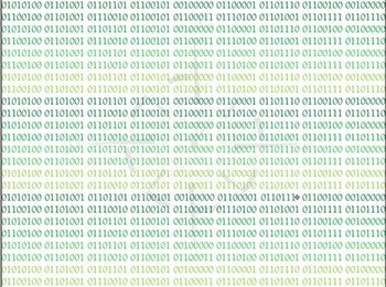 Time & Direction Binary 01110011 Syrah 2021